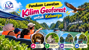 Read more about the article Panduan Lawatan Kilim Geoforest untuk Keluarga